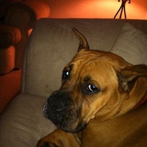 Meet your Posher, Landon